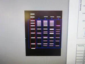 Bio-Rad Gel Doc XR+ Gel Documentation and Imaging System, 6 of 22