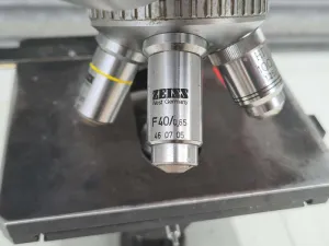 Zeiss Standard 15 Microscope, 3 of 11