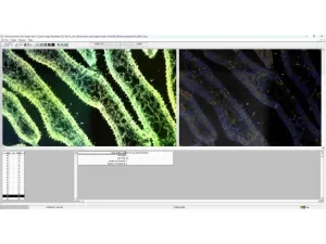 Thermo Scientific CellInsight CX7 LZR Pro High Content Confocal Analysis Platform, 7 of 24