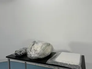 soloVERSO Solo Containment 4G Glove Box Isolator for Biocontainment Applications, 3 of 4