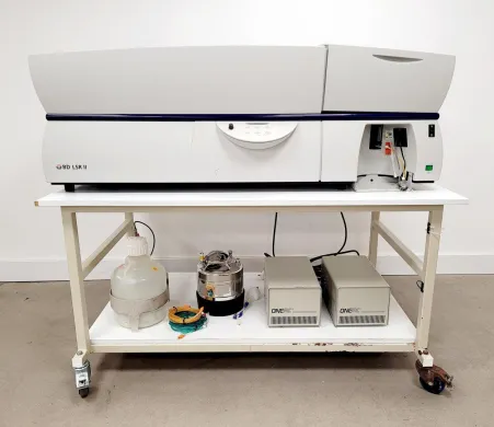 BD Becton Dickinson LSR II Flow Cytometer