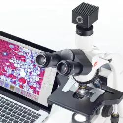 Motic MOTICAM S1 Microscope Camera with Back-Illuminated sCMOS Sensor, 3 of 3
