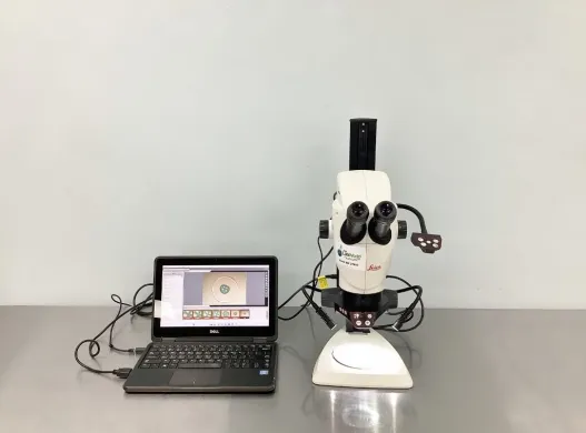 Leica Stereo Zoom S9i High-Resolution Stereo Zoom Microscope with Motorized Stand