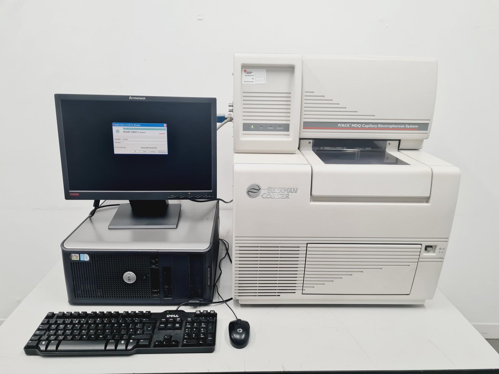 Beckman Coulter P/ACE MDQ Capillary Electrophoresis System