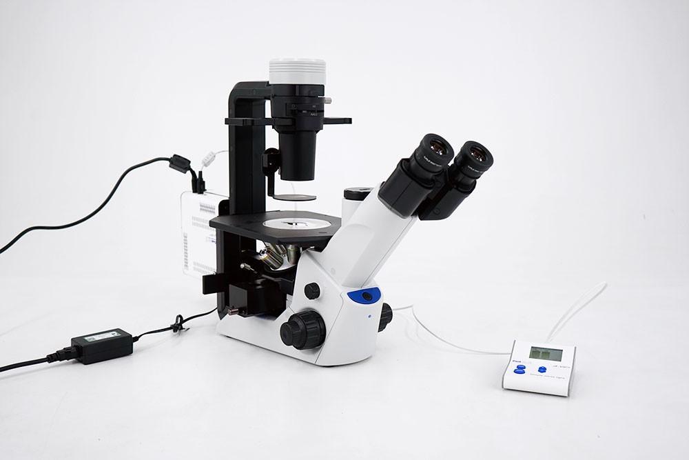 Olympus CKX53 Trinocular Inverted Fluorescence Microscope with LED UV, Blue and Green Channels, 4×–40× Objectives