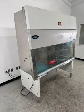 Nuaire Labgard ES Class II A2 6' Biosafety Cabinet NU-540-600