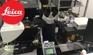 Leica TCS SP2 AOBS, 3 of 6