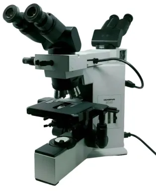 Olympus BX40 Dual Head Compound Microscope with Front to Back Bridge and 2x Objective