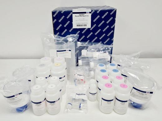 QIAGEN Plasmid Plus Giga Kit Lab-cover