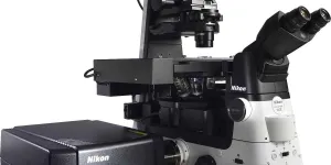 Nikon A1, 2 of 3