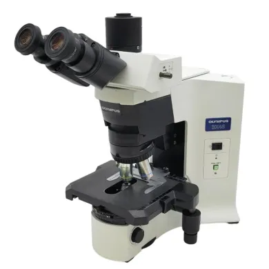 Olympus BX45 Phase Contrast Trinocular Microscope