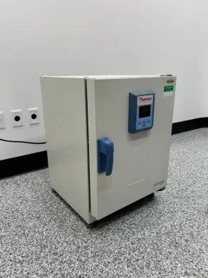 Thermo HeraTherm IGS60 Incubator
