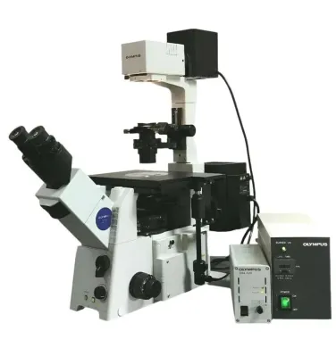 Olympus IX71 Inverted Microscope with Fluorescence and Phase Contrast