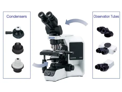 Olympus BX43