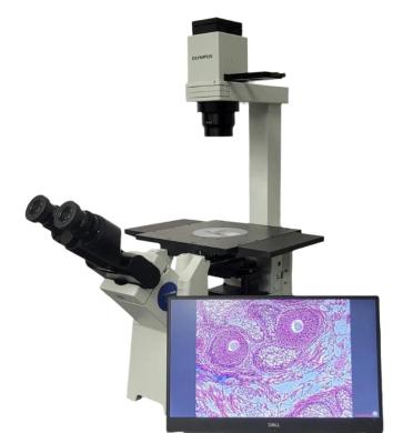 Olympus IX51 Inverted Microscope with Tilting Head, Phase Contrast, and 5MP Camera-cover