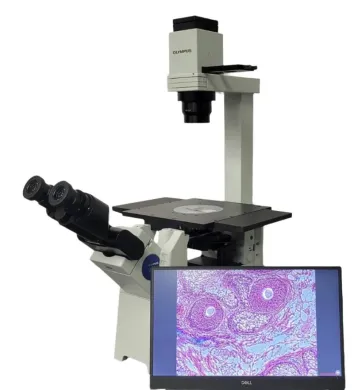 Olympus IX51 Inverted Microscope with Tilting Head, Phase Contrast, and 5MP Camera