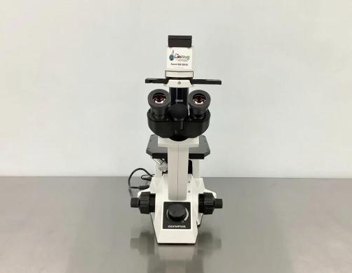 Olympus CKX31 Inverted Phase Contrast Microscope with UIS2 Optics and Ultra-Long Working Distance Condenser-cover