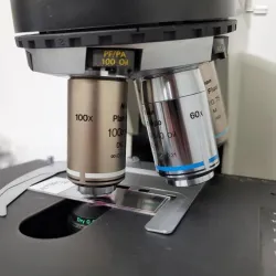Nikon E600 Microscope with DIC and Fluorescence capabilities, 4 of 10