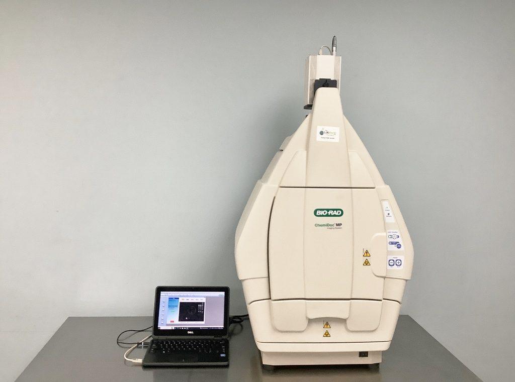Bio-Rad ChemiDoc MP Multiplex Gel and Blot Imaging System with Cooled CCD Camera