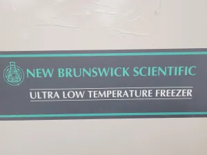New Brunswick Scientific Ultra Low Temperature Freezer Model U410 -45°C, 25 of 31