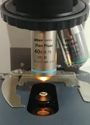 Nikon Eclipse 80i Microscope with Dual Head Bridge and Plan Apo Objectives, 6 of 9
