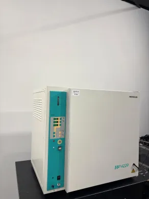 Heraeus BBD 6220 Laboratory Dry Incubator with Multi-Windowed Door