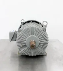 Emerson 213T Enclosed Premium Efficiency Motor 1760 RPM 230V-460V 50/60Hz, 2 of 7