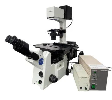 Olympus IX71 Inverted Microscope with Fluorite Objectives, Phase Contrast, and Fluorescence
