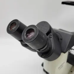 Olympus CK40 Inverted Microscope with Phase Contrast, 5 of 6