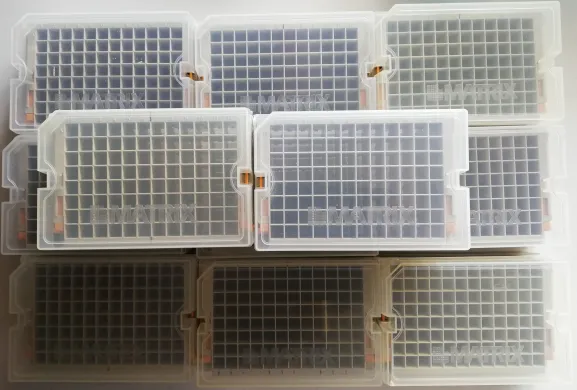 10 Racks for Matrix 2D Barcoded Storage – Thermo Scientific