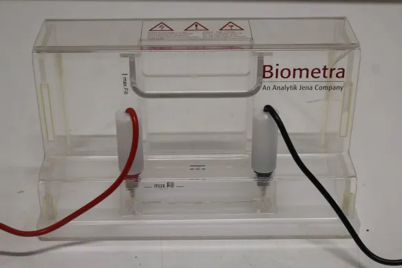 Biometra Minigel G41 Electrophoresis Cell