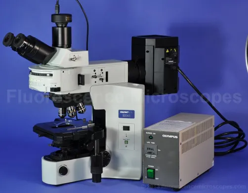 Olympus BX41