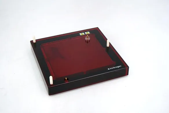 Invitrogen Novex SD1000 Semi-Dry Blot Transfer System