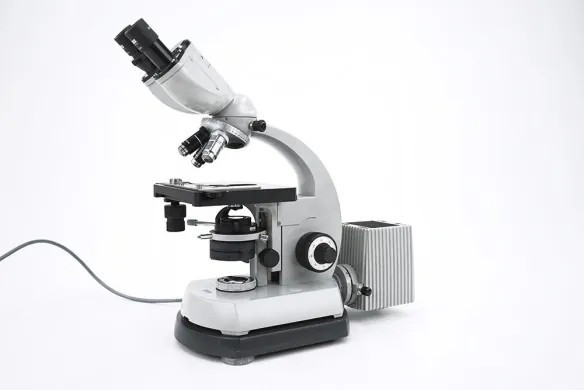 Zeiss Standard 14 Upright Compound Microscope with 16x, 40x, 100x Magnifications and W10x/18 Eyepiece