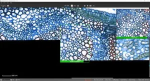 Motic Easystitch Pro Software and Moticam Pro S5 Lite Camera with Panthera C2 Trinocular Microscope Bundle, 3 of 3