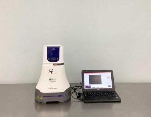 Life Technologies E-Gel Imager Fluorescent Gel Documentation System for DNA Stain Imaging-cover
