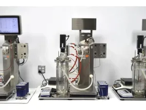 Infors HT Labfors 5 Benchtop Bioreactor System, Three-Fold, Jacketed 3.6 L Vessels, 14 of 56