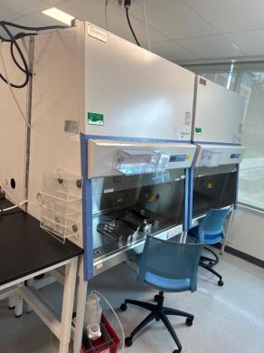 Thermo Fisher Scientific 1300 Series A2 Class II Type A2 4-Foot Biosafety Cabinet Model 1375-cover