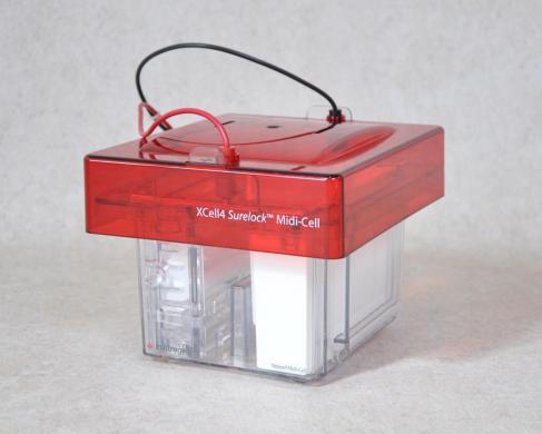 XCell4 SureLock Midi-Cell Vertical Electrophoresis System-cover