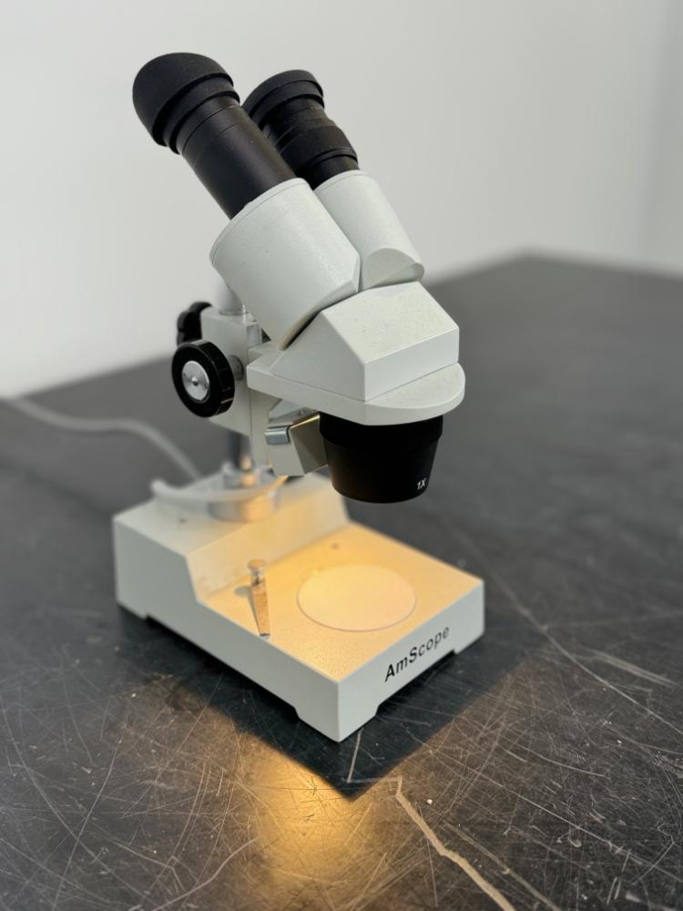 Amscope Stereo Microscope for Laboratory and Research Applications