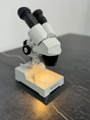 Amscope Stereo Microscope for Laboratory and Research Applications