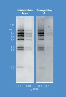 MilliporeSigma Immobilon-P PVDF Membrane-cover