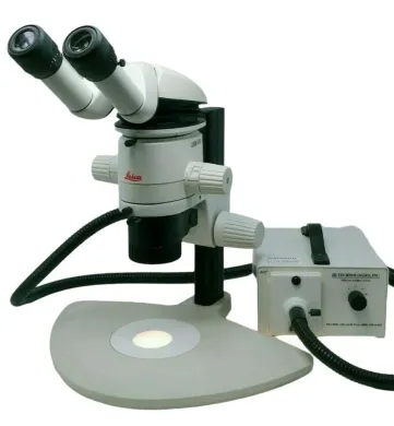 Leica Microscope MZ6 with Tilting Head and Illuminator