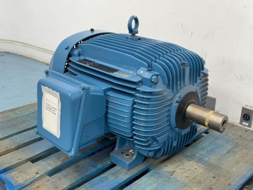 WEG 04AG008 Inverter Duty Motor for Industrial Applications-cover