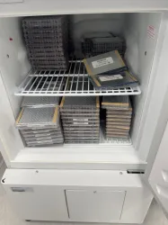 PHCBI MPR-N250FH Pharmaceutical Refrigerator with Glass Door for Controlled Storage, 2 of 3