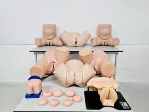 Maternity Birthing Simulator Cervix Examination - Limbs & Things - Adam Rouilly-cover