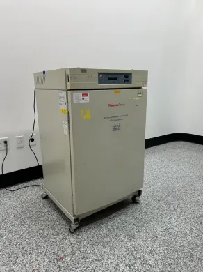 Thermo 3110 Incubator