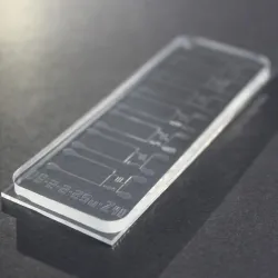 DROPLET MICROFLUIDIC CHIPS, 2 of 6