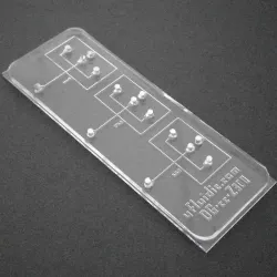 DROPLET MICROFLUIDIC CHIPS, 6 of 6