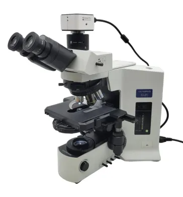 Olympus BX51 Upright Research Microscope with DIC, Phase Contrast & 5MP Camera